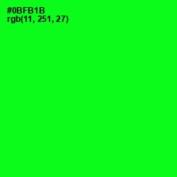 #0BFB1B - Green Color Image