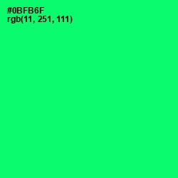 #0BFB6F - Spring Green Color Image