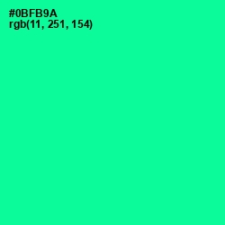 #0BFB9A - Caribbean Green Color Image