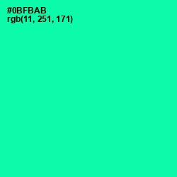 #0BFBAB - Caribbean Green Color Image