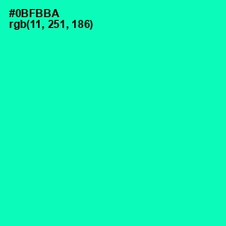 #0BFBBA - Caribbean Green Color Image