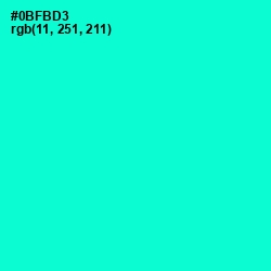 #0BFBD3 - Bright Turquoise Color Image