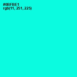 #0BFBE1 - Cyan / Aqua Color Image