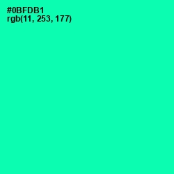 #0BFDB1 - Caribbean Green Color Image