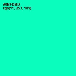 #0BFDBD - Caribbean Green Color Image