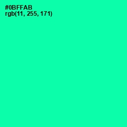 #0BFFAB - Caribbean Green Color Image