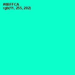 #0BFFCA - Bright Turquoise Color Image