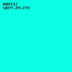 #0BFFE7 - Cyan / Aqua Color Image