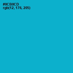 #0CB0CD - Cerulean Color Image