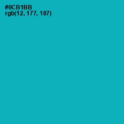 #0CB1BB - Bondi Blue Color Image