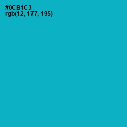 #0CB1C3 - Cerulean Color Image