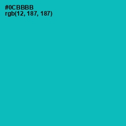 #0CBBBB - Eastern Blue Color Image