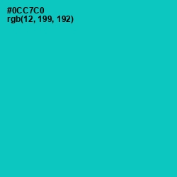 #0CC7C0 - Robin's Egg Blue Color Image