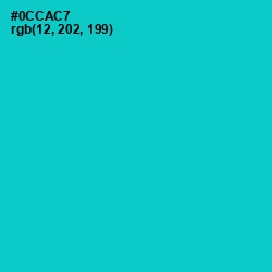 #0CCAC7 - Robin's Egg Blue Color Image