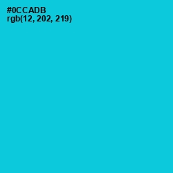 #0CCADB - Robin's Egg Blue Color Image