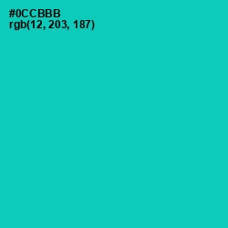 #0CCBBB - Caribbean Green Color Image