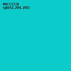 #0CCCCB - Robin's Egg Blue Color Image