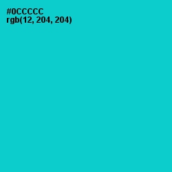 #0CCCCC - Robin's Egg Blue Color Image