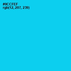 #0CCFEF - Bright Turquoise Color Image