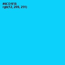 #0CD1FB - Bright Turquoise Color Image