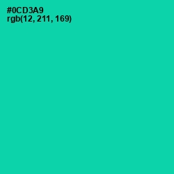 #0CD3A9 - Caribbean Green Color Image