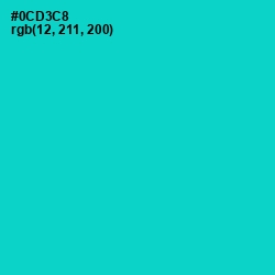 #0CD3C8 - Robin's Egg Blue Color Image