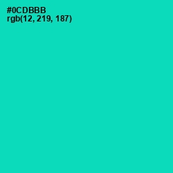 #0CDBBB - Caribbean Green Color Image