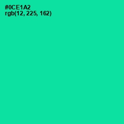 #0CE1A2 - Caribbean Green Color Image