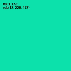 #0CE1AC - Caribbean Green Color Image