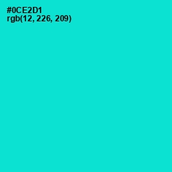 #0CE2D1 - Bright Turquoise Color Image