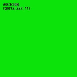 #0CE30B - Green Color Image