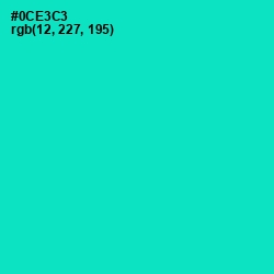 #0CE3C3 - Bright Turquoise Color Image