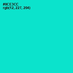 #0CE3CC - Bright Turquoise Color Image