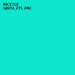 #0CE7CE - Bright Turquoise Color Image