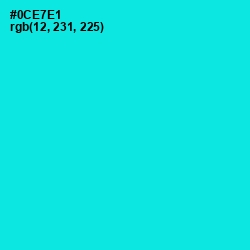 #0CE7E1 - Cyan / Aqua Color Image