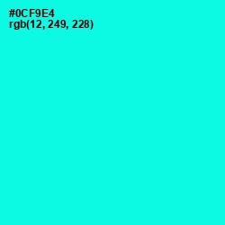 #0CF9E4 - Cyan / Aqua Color Image