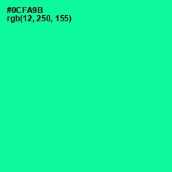 #0CFA9B - Caribbean Green Color Image