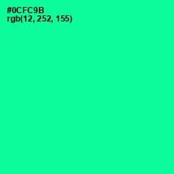 #0CFC9B - Caribbean Green Color Image