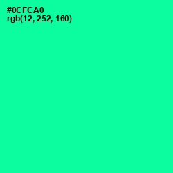 #0CFCA0 - Caribbean Green Color Image