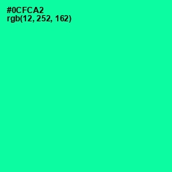 #0CFCA2 - Caribbean Green Color Image