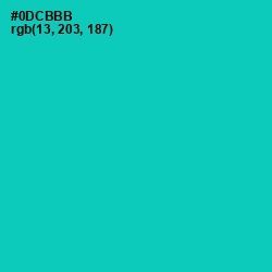 #0DCBBB - Caribbean Green Color Image