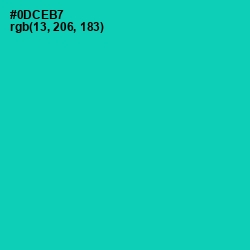 #0DCEB7 - Caribbean Green Color Image