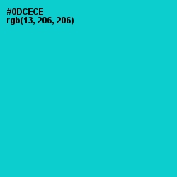 #0DCECE - Robin's Egg Blue Color Image