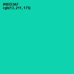 #0DD3AF - Caribbean Green Color Image