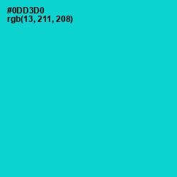 #0DD3D0 - Robin's Egg Blue Color Image