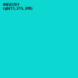 #0DD7D1 - Robin's Egg Blue Color Image