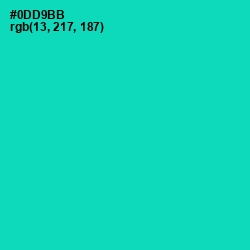 #0DD9BB - Caribbean Green Color Image