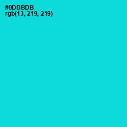 #0DDBDB - Robin's Egg Blue Color Image