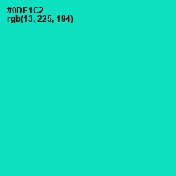 #0DE1C2 - Bright Turquoise Color Image