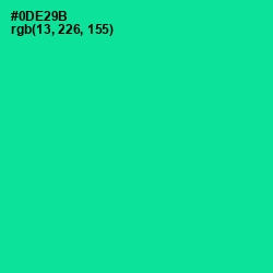 #0DE29B - Caribbean Green Color Image